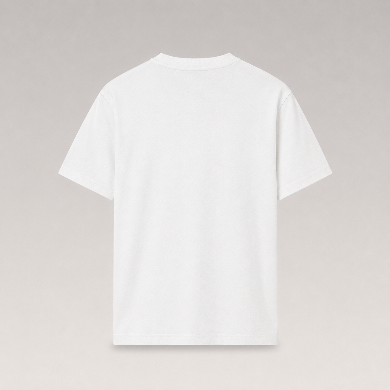 The Pelle Embroidery Graphic T-shirt
