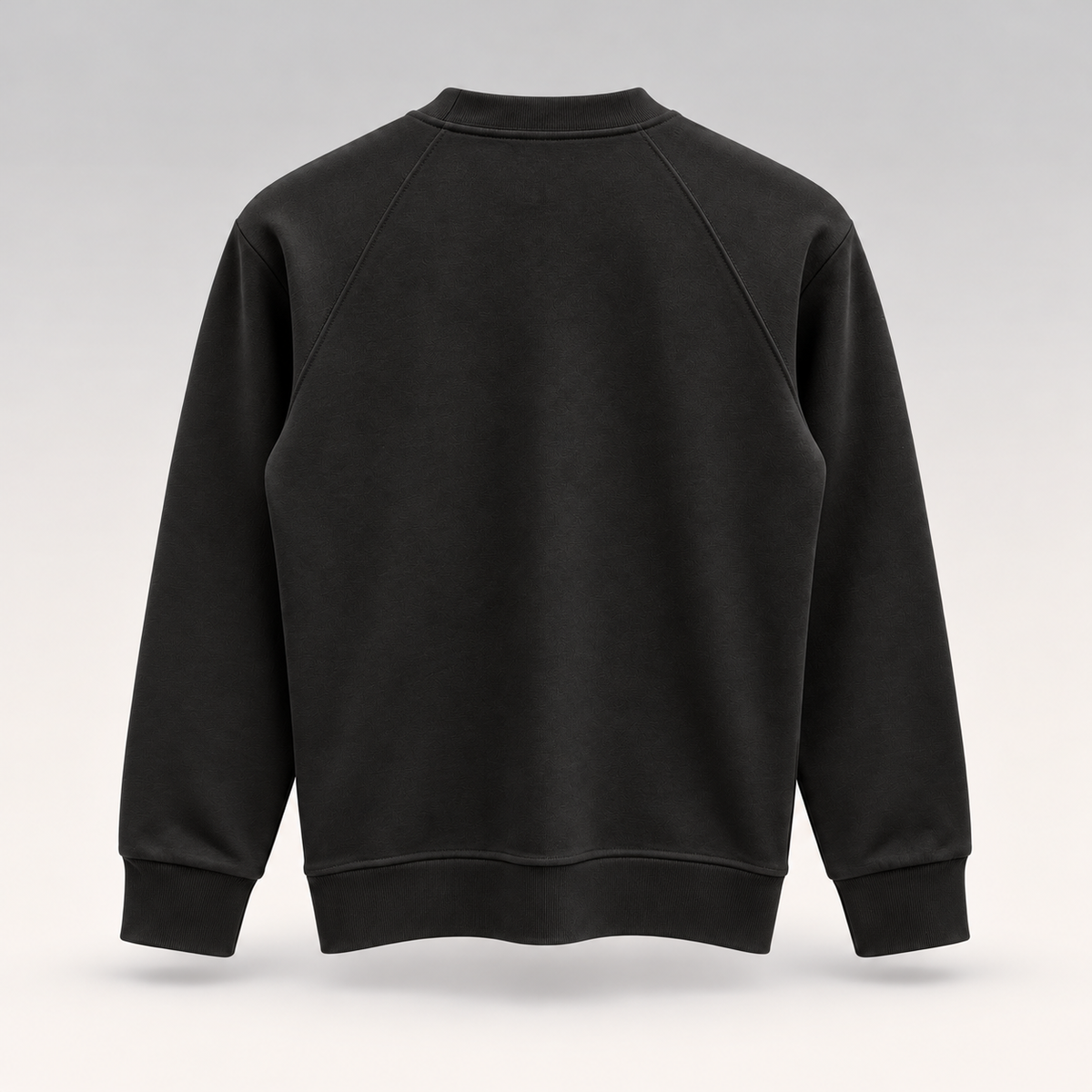 Sweatshirt with Embroidery